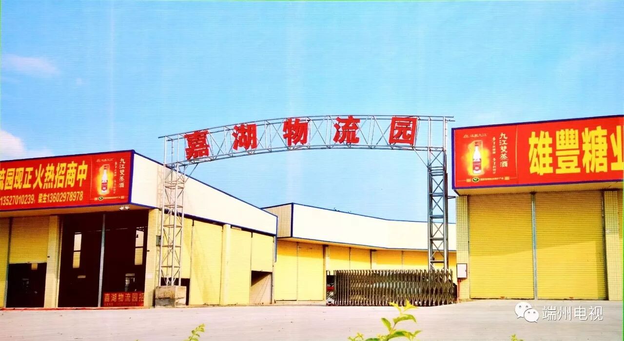 速起文化传媒